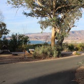Review photo of Boulder Beach Campground — Lake Mead National Recreation Area by Les W., June 8, 2022