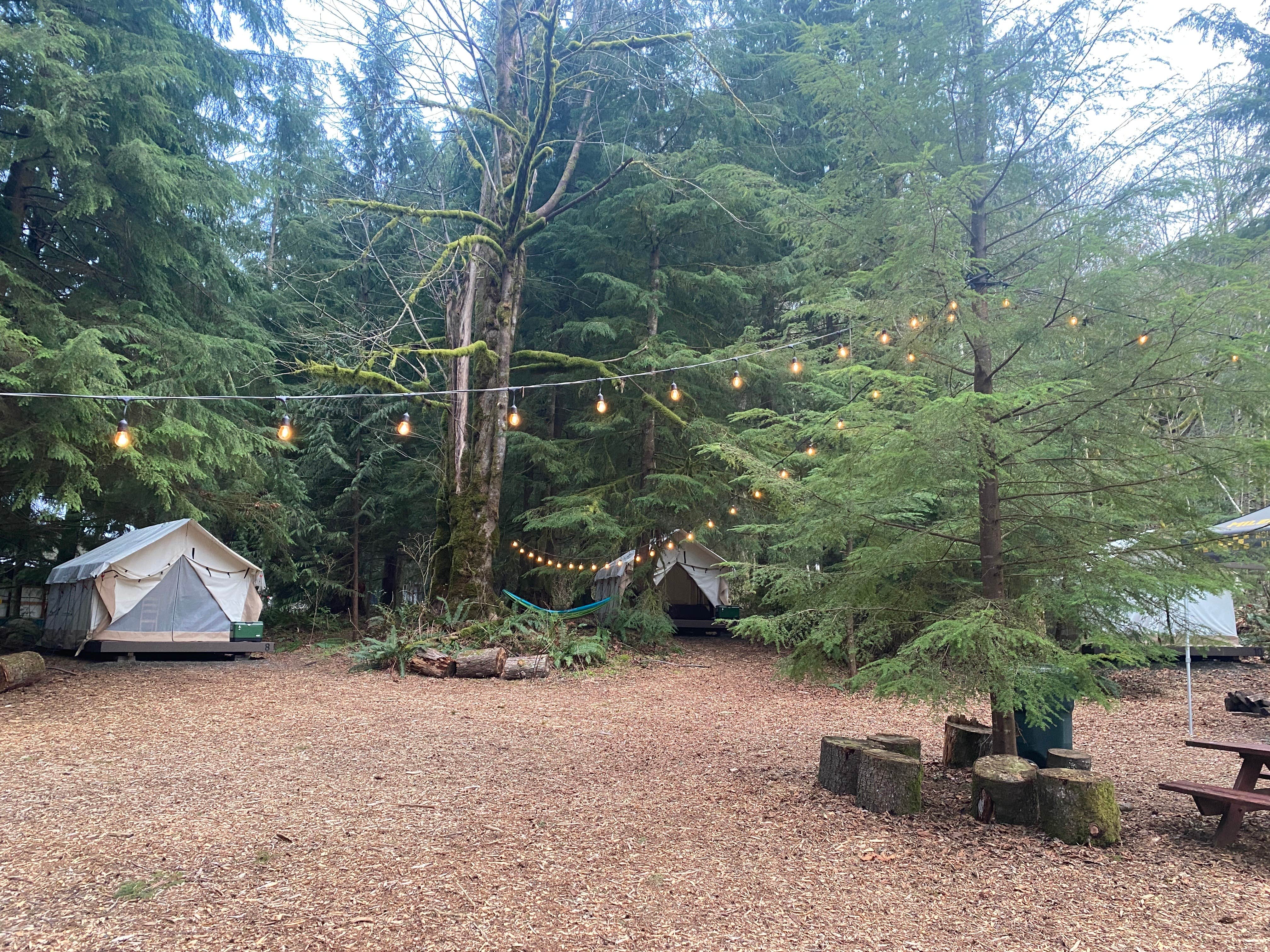 Sarah S.'s photo at Roamer Sites - Oregon near Welches, OR