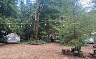 Sarah S.'s photo at Roamer Sites - Oregon near Brightwood, OR