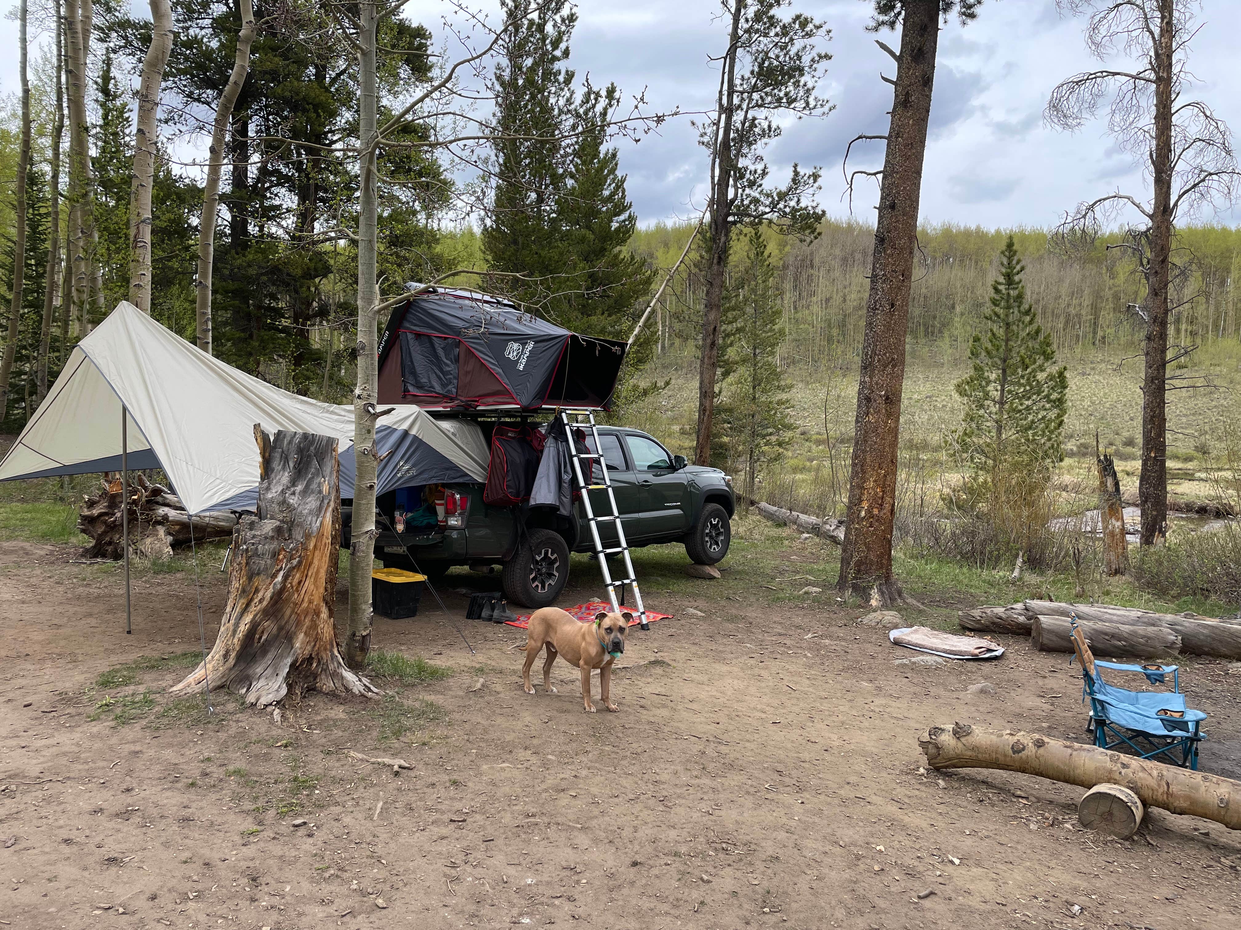 Camper-submitted photo at Twin Lakes Dispersed Camping - Site 2 West near Granite, CO