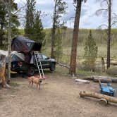 Review photo of Twin Lakes Dispersed Camping - Site 2 West by Brielle E., June 8, 2022