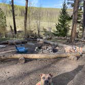 Review photo of Twin Lakes Dispersed Camping - Site 2 West by Brielle E., June 8, 2022