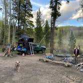 Review photo of Twin Lakes Dispersed Camping - Site 2 West by Brielle E., June 8, 2022