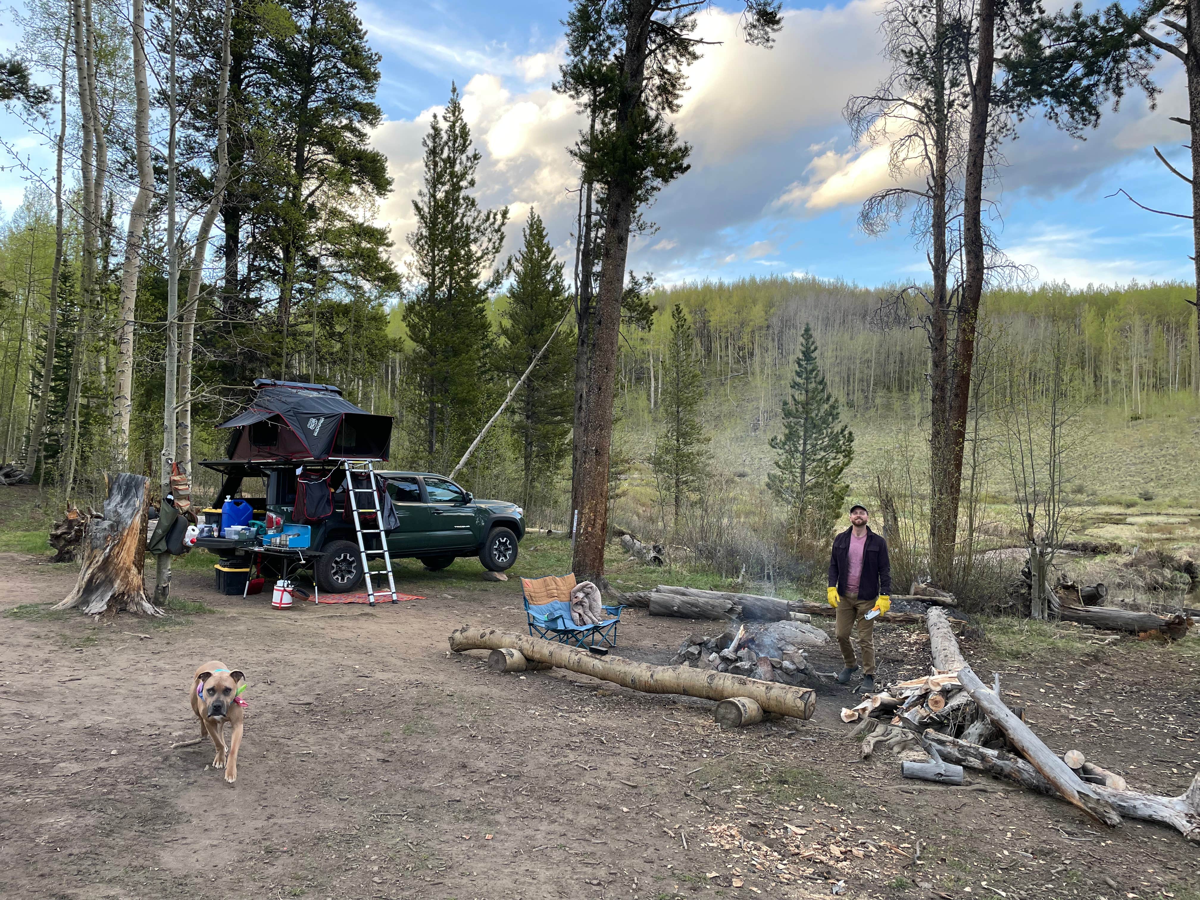 Camper submitted image from Twin Lakes Dispersed Camping - Site 2 West - 5