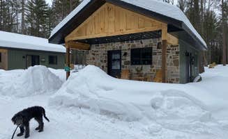 Chris W.'s photo of camping with pets at Peaceful Pines Resort near Summit Lake, WI