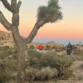 Review photo of Jumbo Rocks Campground — Joshua Tree National Park by Brielle E., June 8, 2022