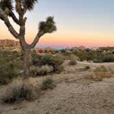 Review photo of Jumbo Rocks Campground — Joshua Tree National Park by Brielle E., June 8, 2022