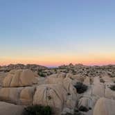 Review photo of Jumbo Rocks Campground — Joshua Tree National Park by Brielle E., June 8, 2022