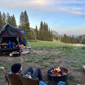 Review photo of Washington Gulch Dispersed Camping by Brielle E., June 8, 2022