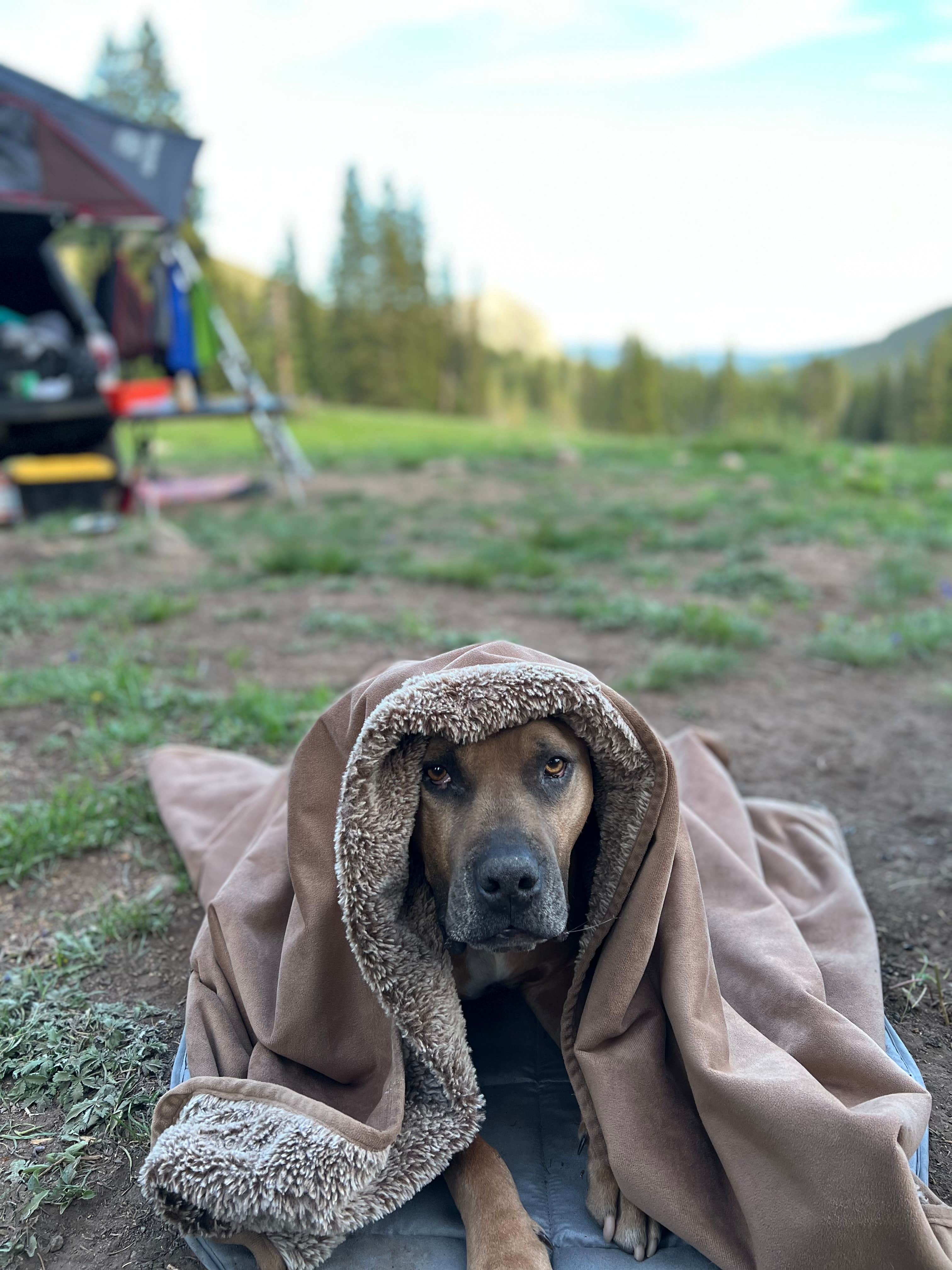 Brielle E.'s photo at Washington Gulch Dispersed Camping - PERMANENTLY CLOSED near Crested Butte, CO