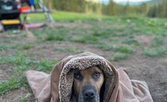 Brielle E.'s photo at Washington Gulch Dispersed Camping - PERMANENTLY CLOSED near Crested Butte, CO