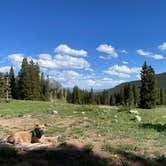 Review photo of Washington Gulch Dispersed Camping by Brielle E., June 8, 2022