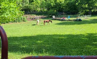 amber G.'s photo of camping with a horse at Paradise Ridge Permaculture near Greenville, SC