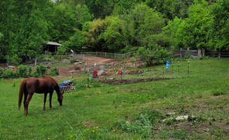 amber G.'s photo of camping with a horse at Paradise Ridge Permaculture near Greer, SC