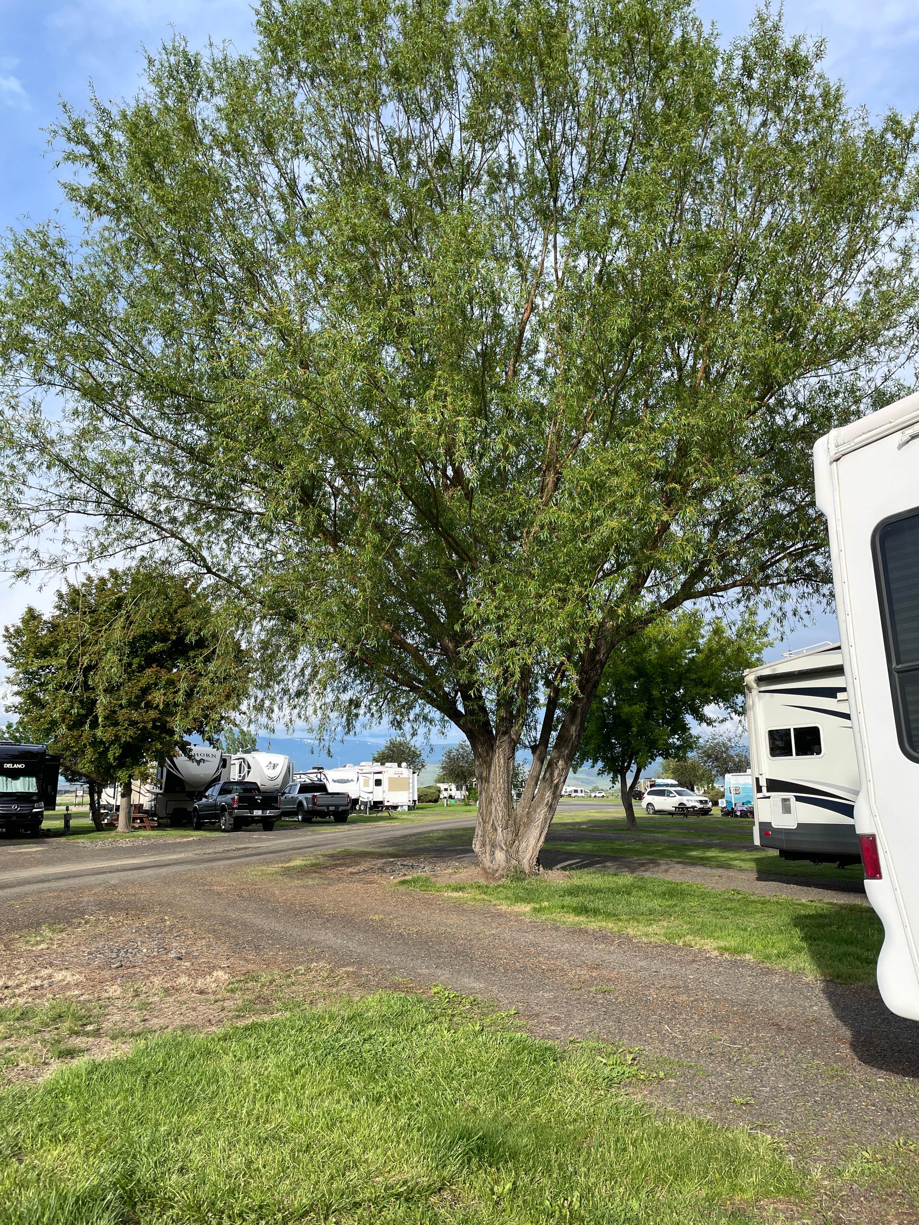 Candace W.'s photo of rv camping at Grande Hot Springs RV Resort near Umatilla National Forest