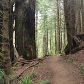 Review photo of Elk Prairie Campground — Prairie Creek Redwoods State Park by Ally S., July 26, 2016