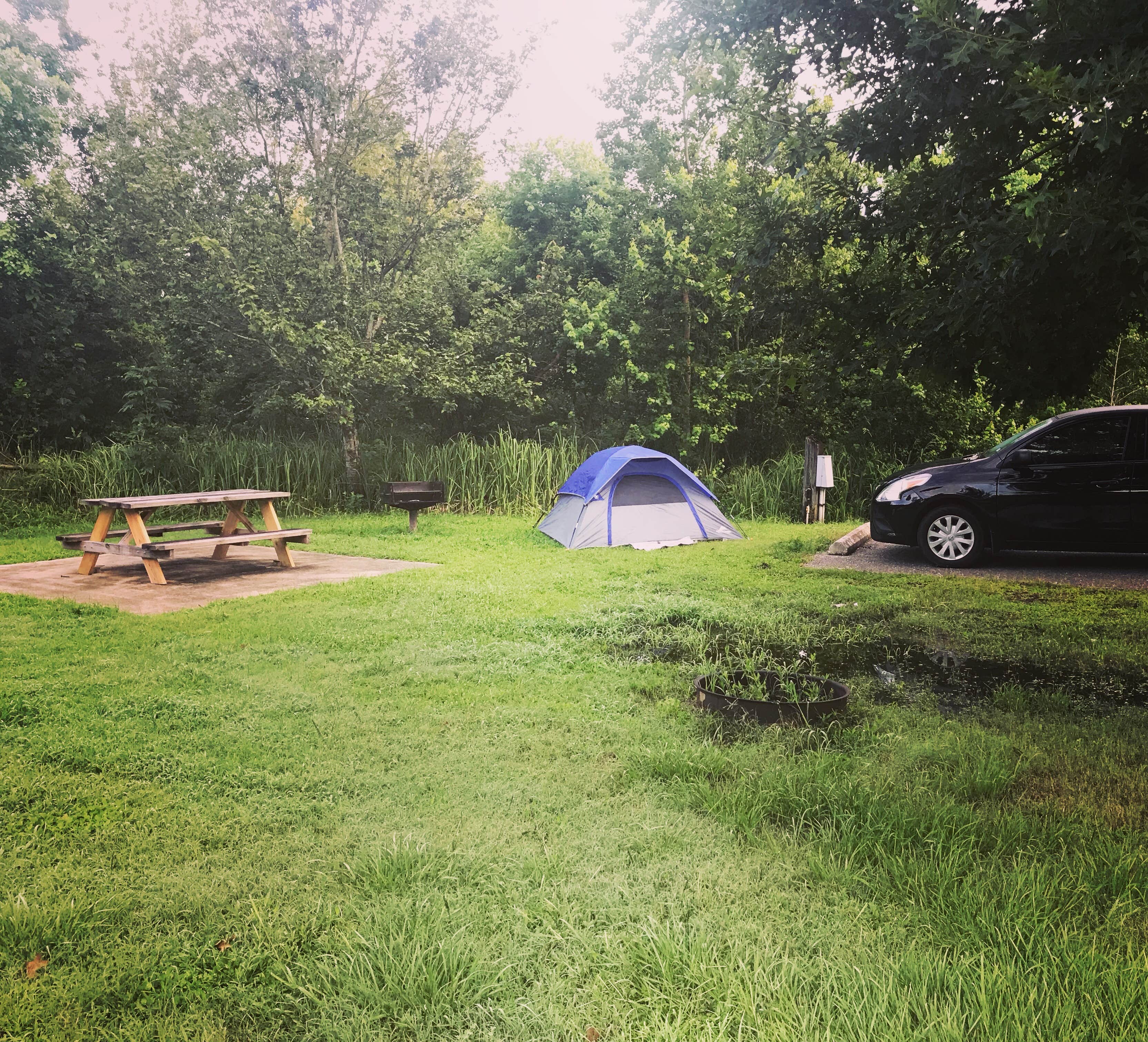Crystal C.'s photo at Bayou Segnette State Park Campground in Louisiana