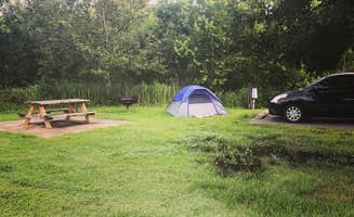 Crystal C.'s photo at Bayou Segnette State Park Campground near New Orleans, LA