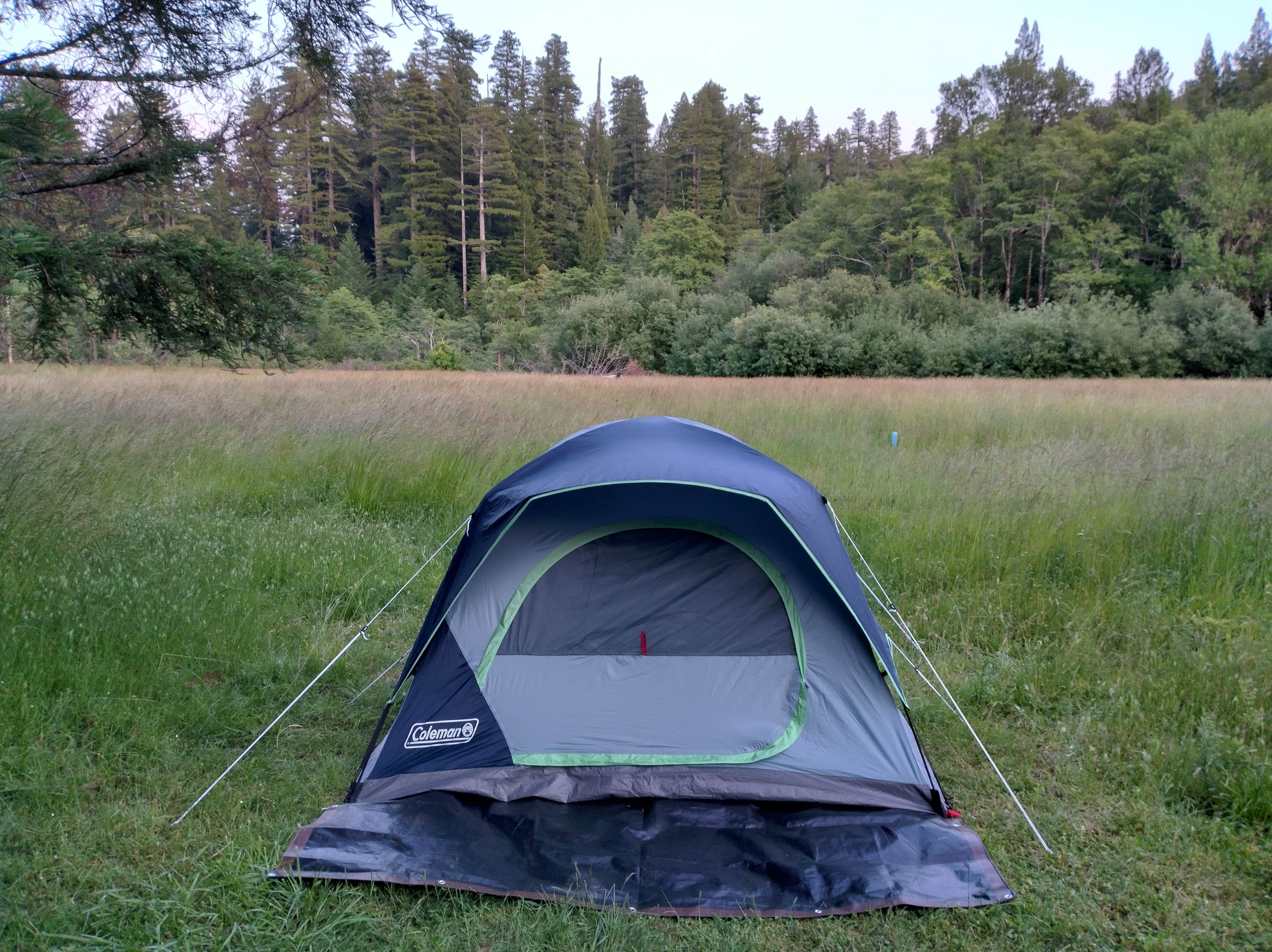 Alex M.'s photo at Hidden Springs Campground — Humboldt Redwoods State Park near Weott, CA