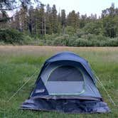 Review photo of Hidden Springs Campground — Humboldt Redwoods State Park by Alex M., June 9, 2022