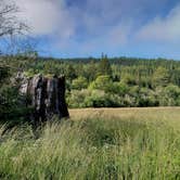 Review photo of Hidden Springs Campground — Humboldt Redwoods State Park by Alex M., June 9, 2022