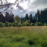 Review photo of Hidden Springs Campground — Humboldt Redwoods State Park by Alex M., June 9, 2022