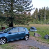 Review photo of Albee Creek Camp — Humboldt Redwoods State Park by Alex M., June 9, 2022