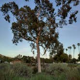 Review photo of Refugio State Beach Campground by Alex M., June 9, 2022