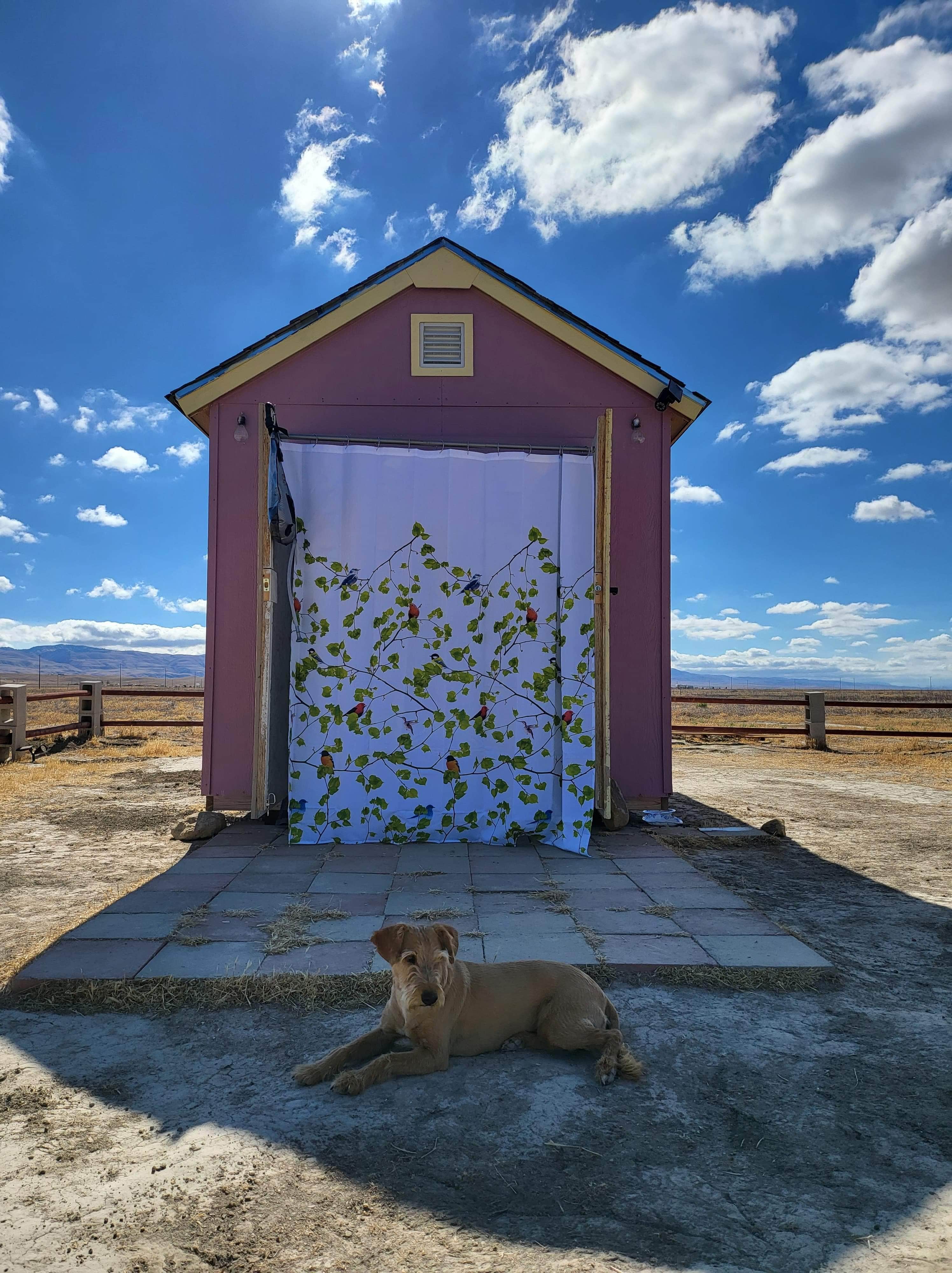 Camper-submitted photo at The Little Brave House near Tupman, CA