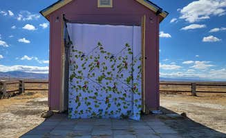 Rachel's photo of camping with pets at The Little Brave House near Los Padres National Forest