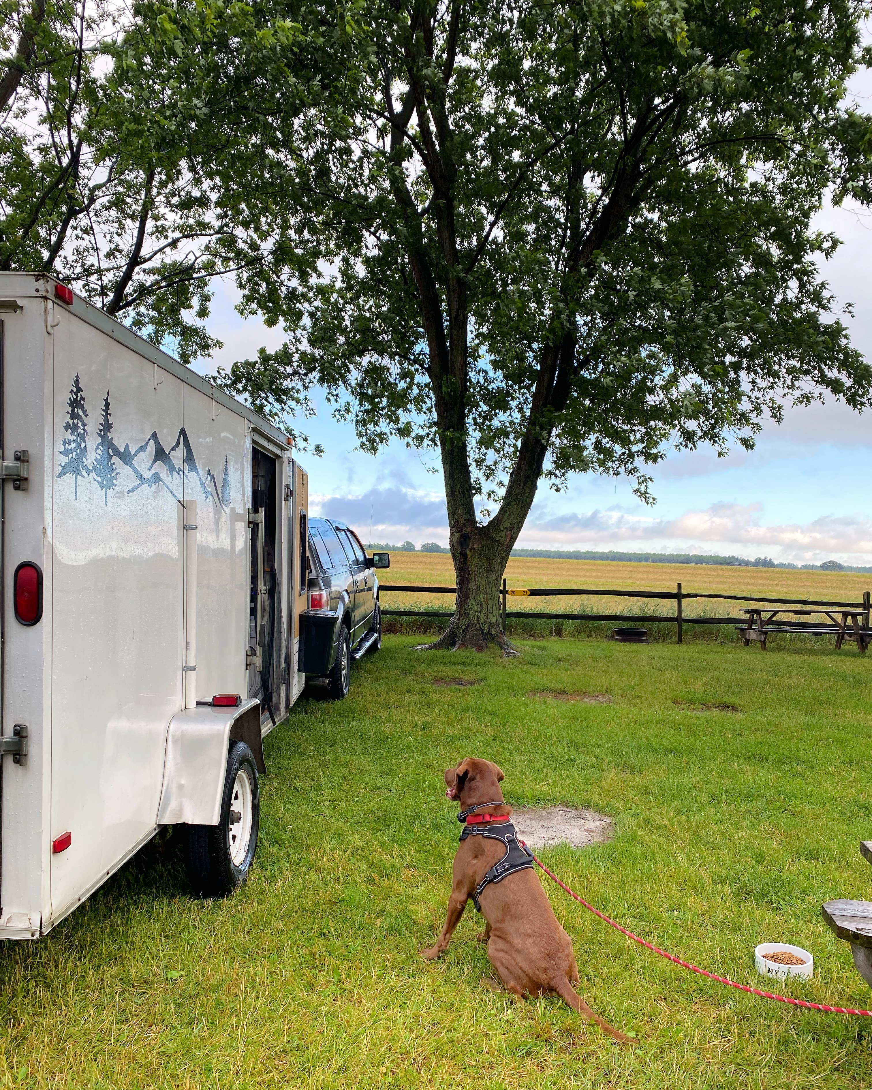 Camper submitted image from Grandview Bend Family Campground - 5