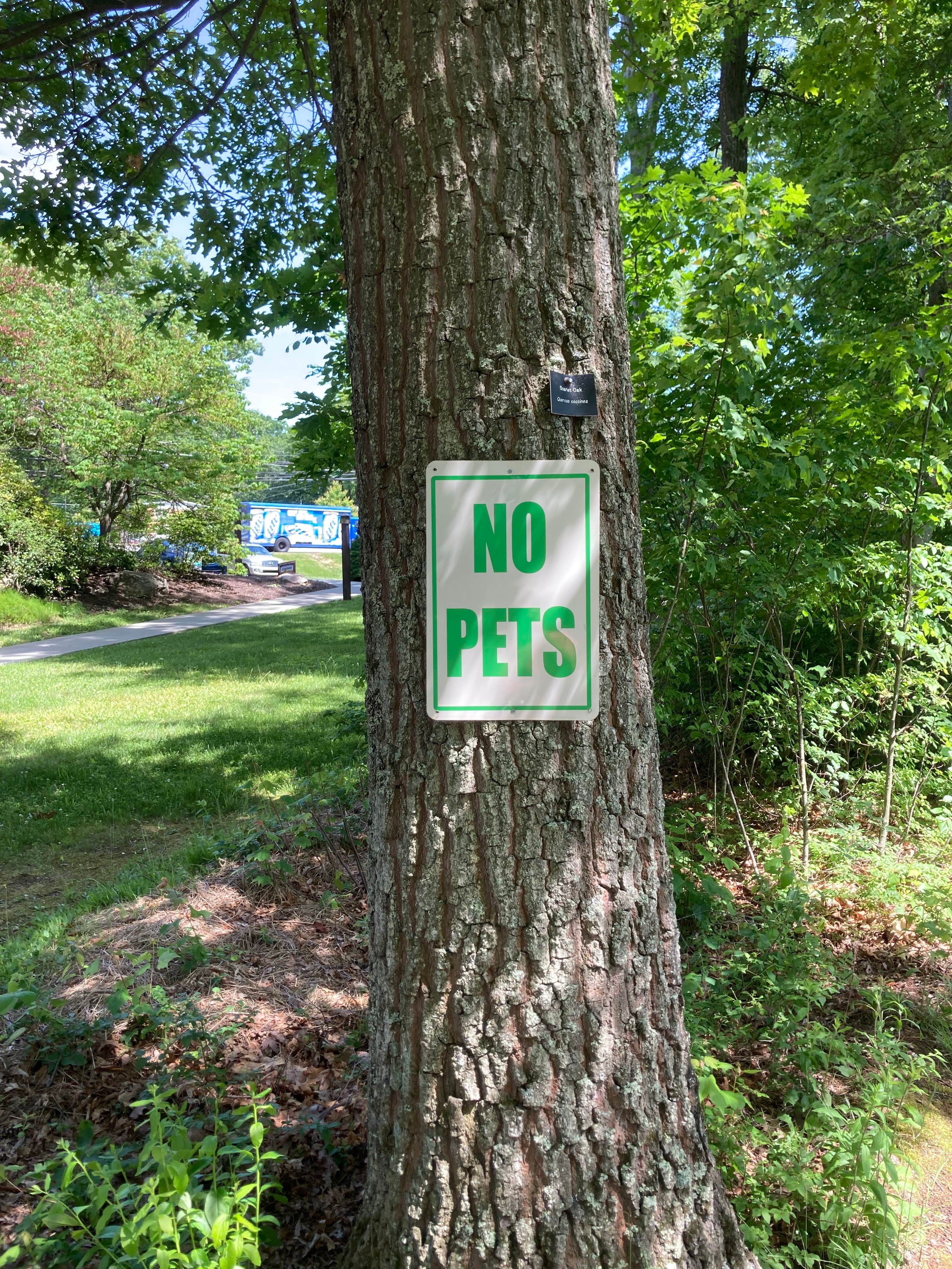 Camper-submitted photo at Wilsonville Rec Area near Hawley, PA