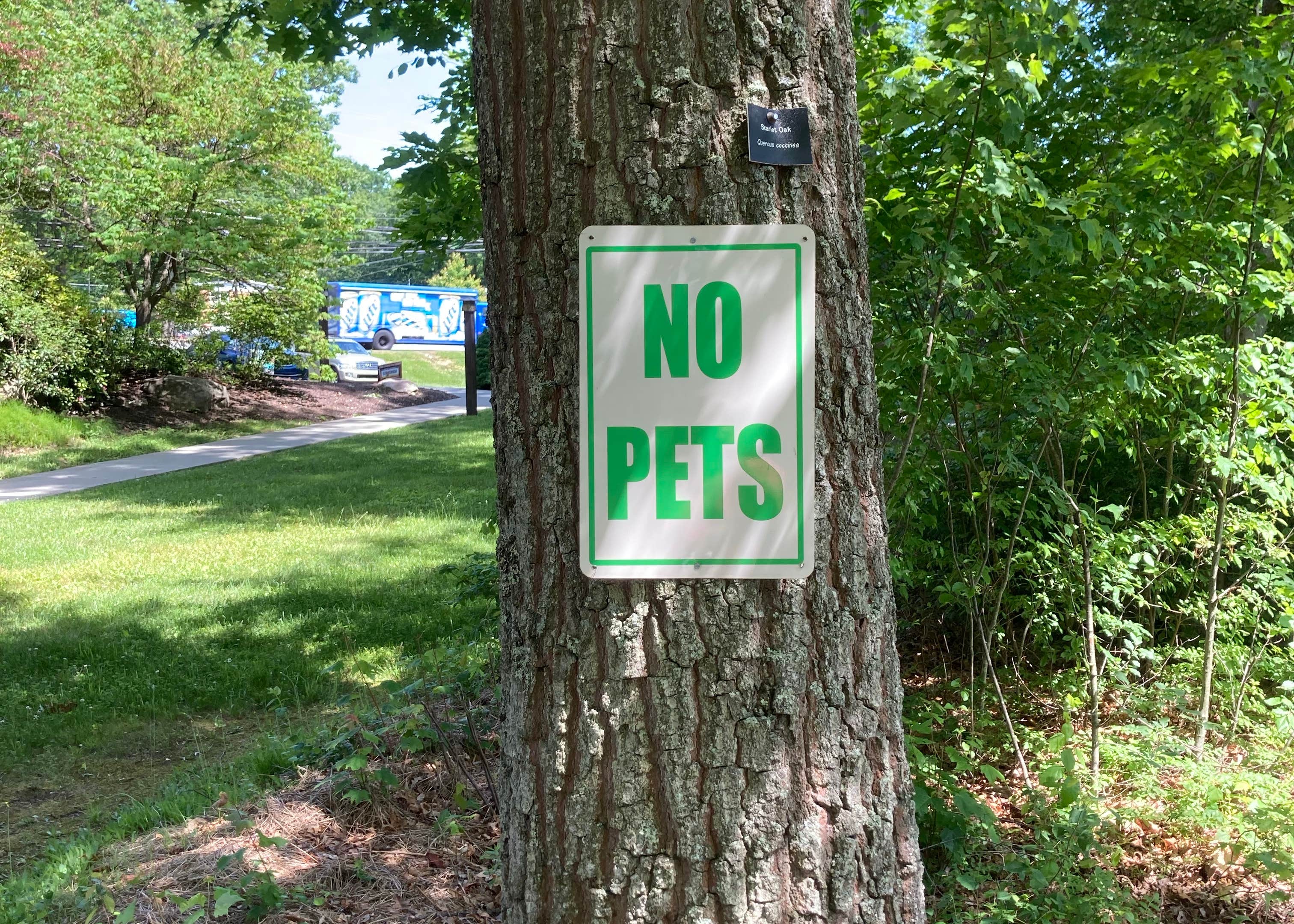 Wilsonville Rec Area Camping The Dyrt