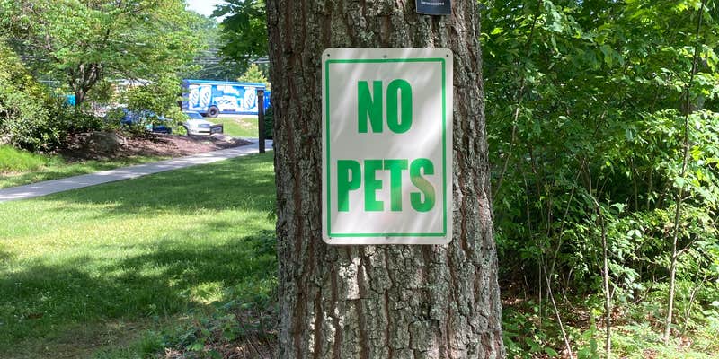 Camper submitted image from Wilsonville Rec Area