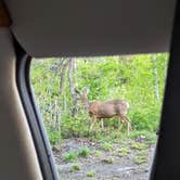Review photo of Hay Press Campground by Brad W., June 9, 2022