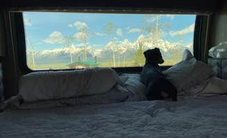 L W.'s photo of camping with pets at Shadow Mountain Dispersed Camping in Wyoming