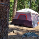 Review photo of Lake Wenatchee State Park Campground by Jennifer D., June 9, 2022