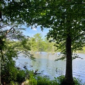 Review photo of Trap Pond State Park Campground by Marie L., June 9, 2022