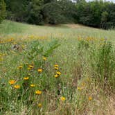 Review photo of Sugarloaf Ridge State Park Campground by Scott J., June 9, 2022