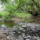 Review photo of Sugarloaf Ridge State Park Campground by Scott J., June 9, 2022