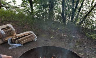 Camping near Wanderlust Tiny A-Frame: Ironwood Point Rec Area, Greentown, Pennsylvania