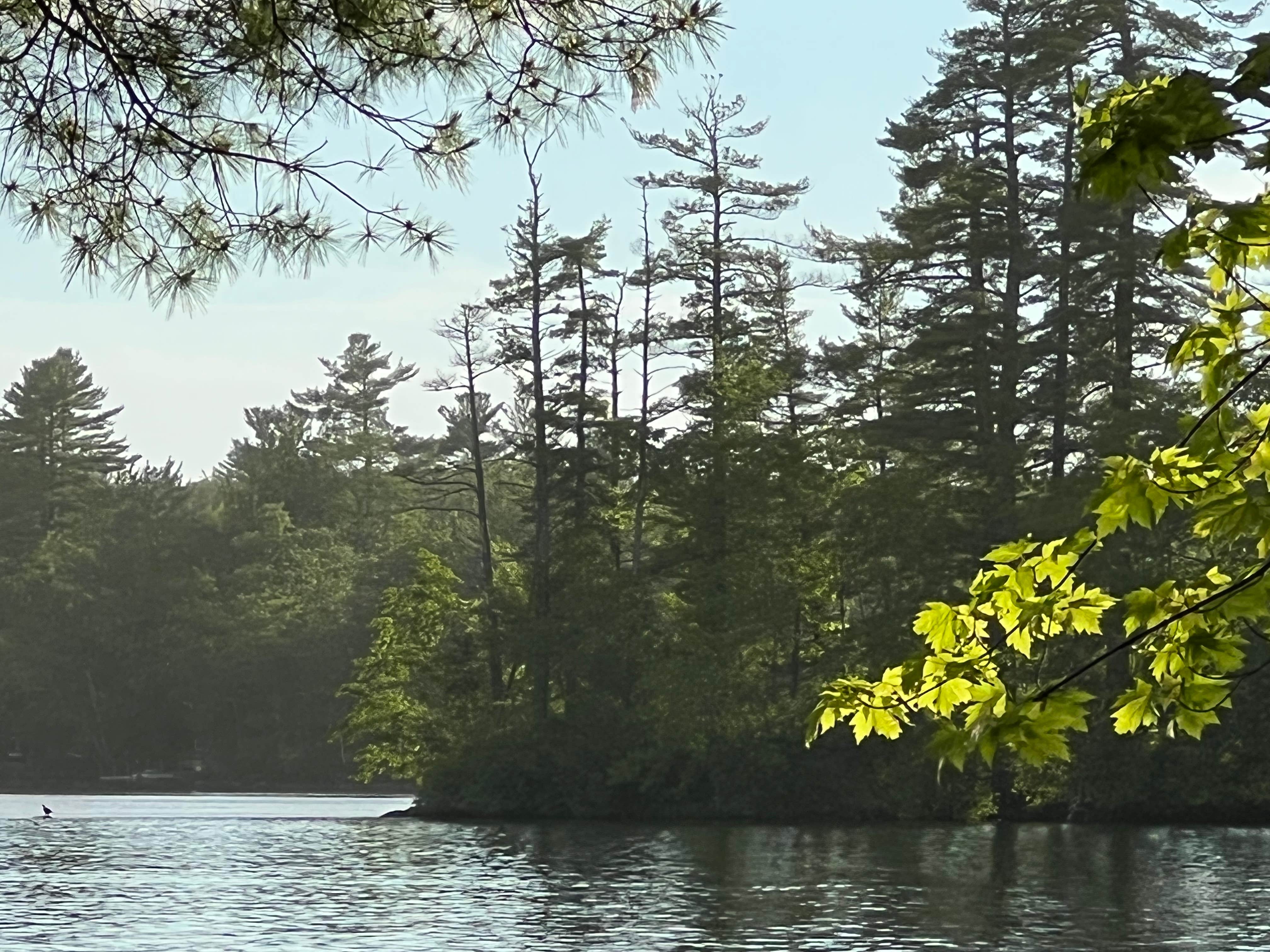 Camper-submitted photo at Augusta West Kampground near Jay, ME