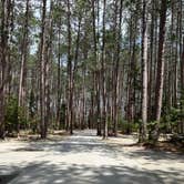 Review photo of Cathedral Pines Campground by Dwayne B., June 9, 2022