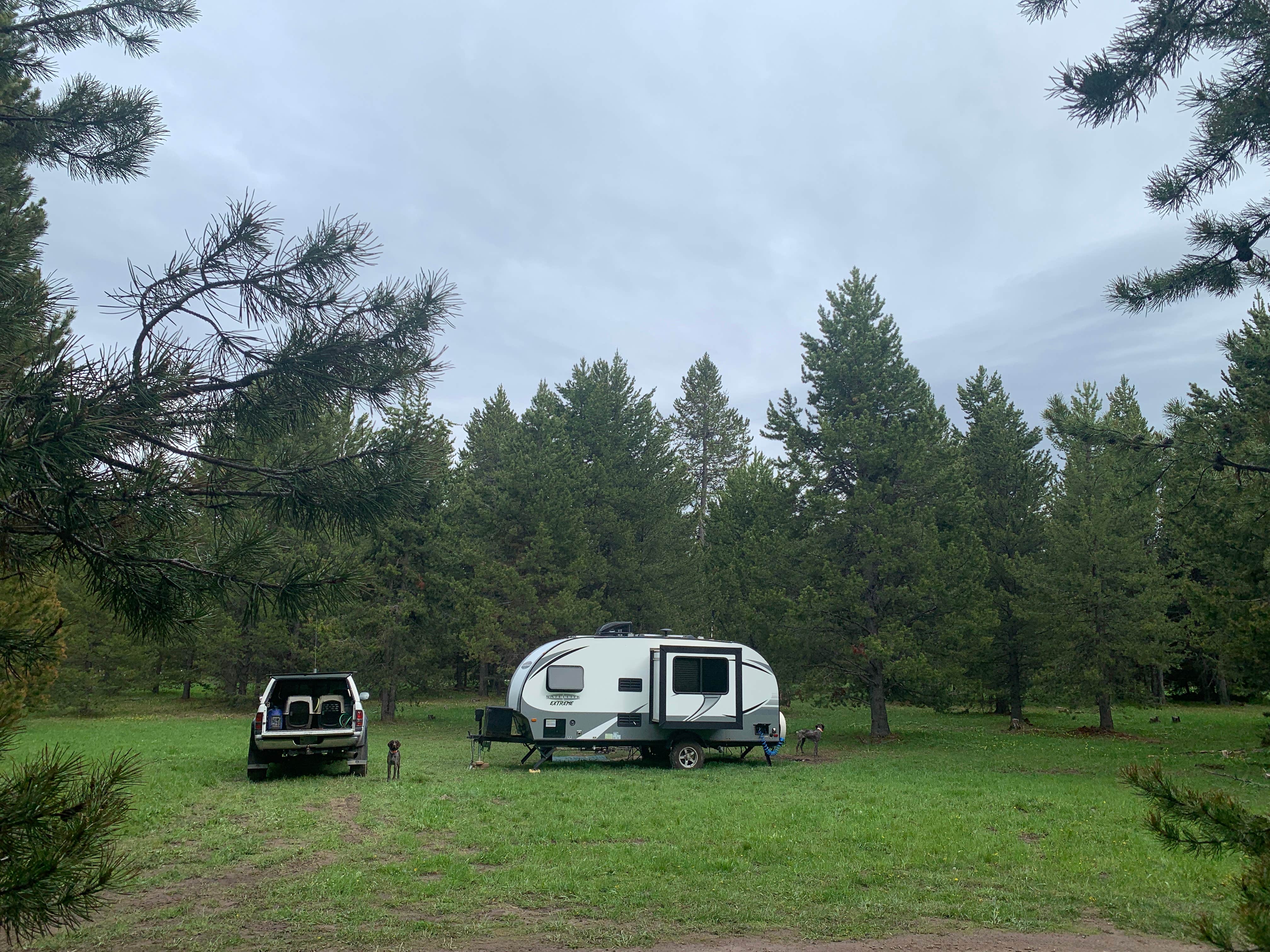 Camping near Red Rock RV Park by Open Road Resorts: Bootjack Dispersed Camping, Island Park, Idaho