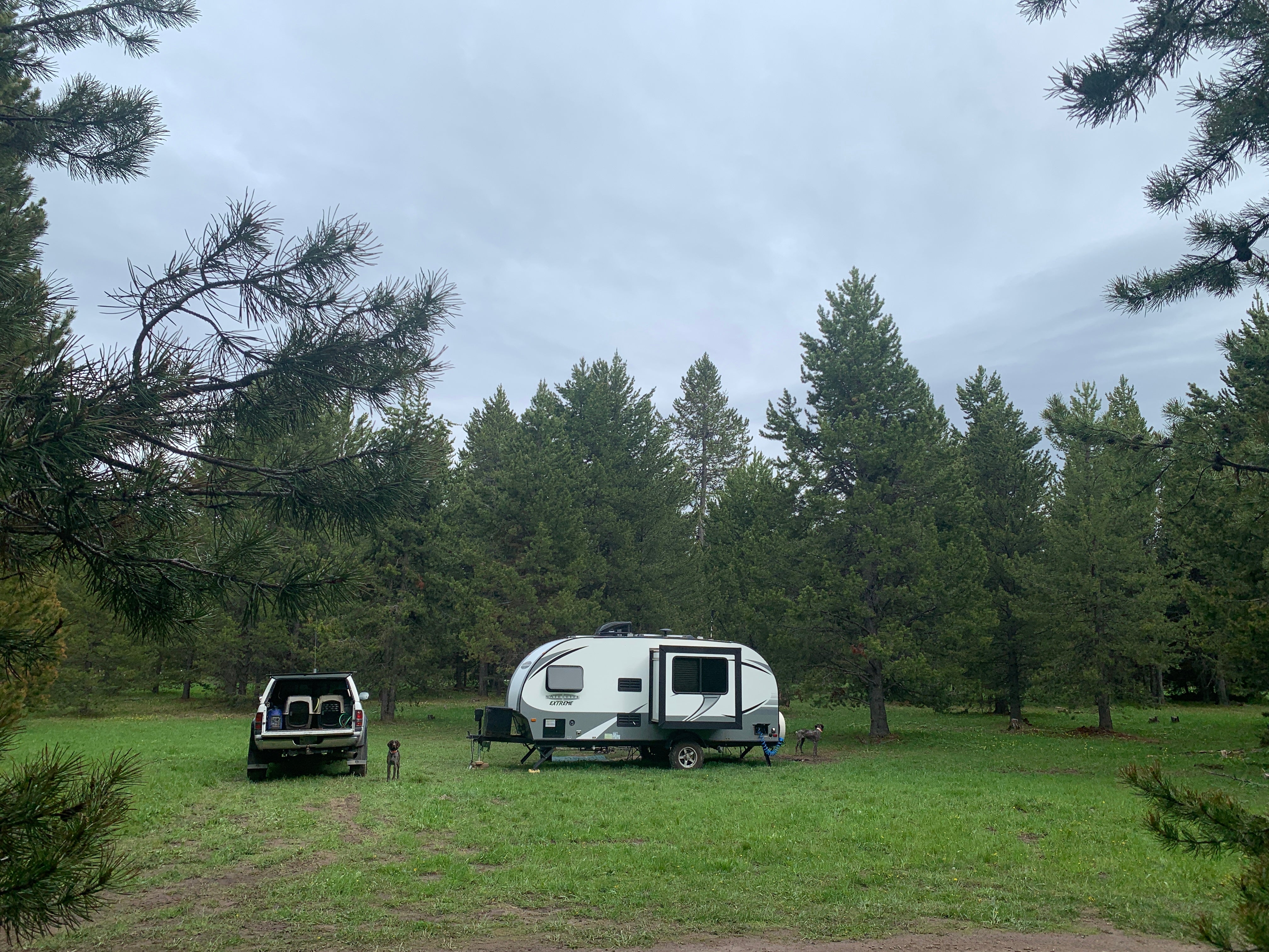 Camper submitted image from Bootjack Dispersed Camping - 1