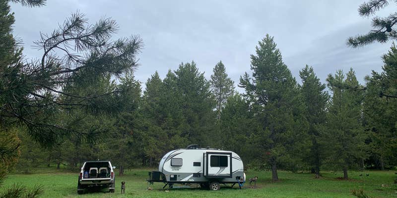 Camper submitted image from Bootjack Dispersed Camping