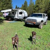 Review photo of Bootjack Dispersed Camping by Greg R., June 7, 2022