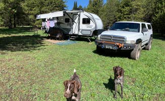 Greg R.'s photo of camping with pets at Bootjack Dispersed Camping near West Yellowstone, MT