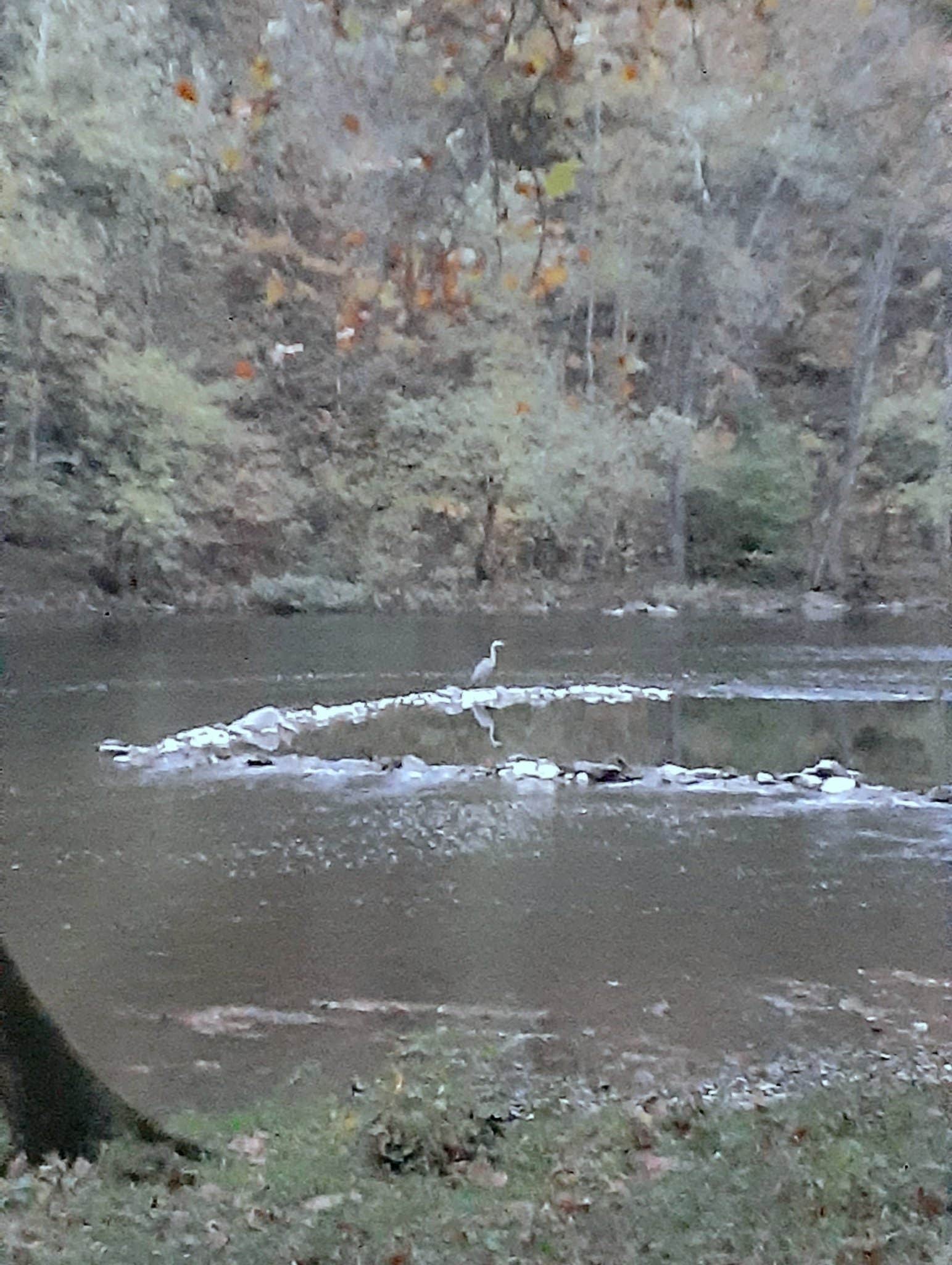 Camper-submitted photo at Branch Camp near Alexandria, PA