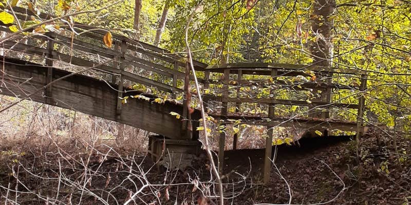 Camper submitted image from Branch Camp